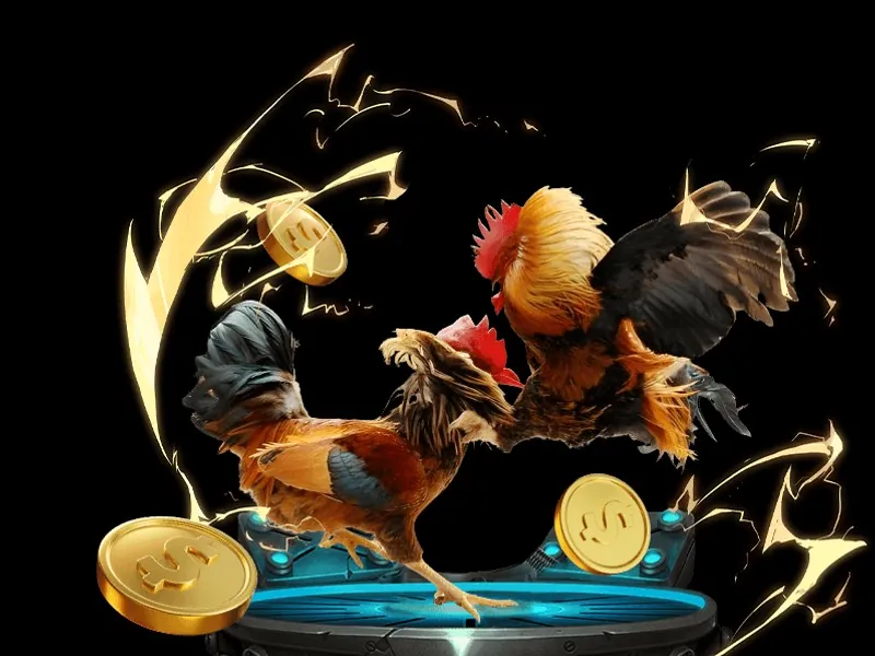 Mở tệp cài đặt 333win